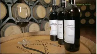 Vino Didacus, Viñedos y Bodegas Serón, Almería