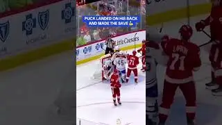the goalkeeper saved so well.😜#nhl #icehockey #goaliesaves #goalies #usa