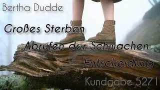 Gro&szlig;es Sterben, Abrufen der Schwachen, Entscheidung | Bertha Dudde - 5271