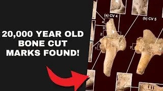 20,000 +Year-Old Human Traces Found in South America