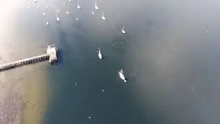 Holy Loch Sailing Club Moorings 1