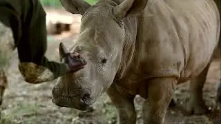 Bushveld Security Group Counter Poaching Units
