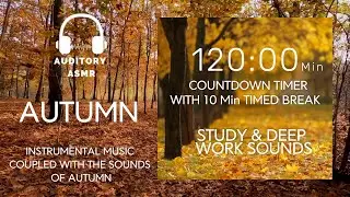 2 Hour Deep Focus Pomodoro 🍁 Autumn Forest Ambience + Break Timer (10 Min Rest Included)