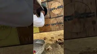 ١- تحويل العود البلدي الى خلية حديثة(الجزء الاول) (اساسيات تربية النحل) (غانم سعيد القحطاني)
