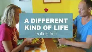 How do fruitarians live and eat? (80/10/10 raw food)