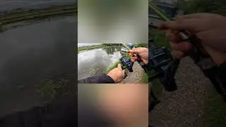 Canal Float Fishing for Perch, Bream and Roach 