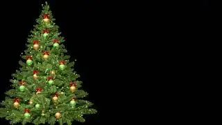 christmas tree light animation black screen background | new year colorful christmas tree effect