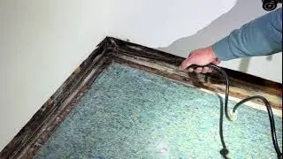 Spot Treatment Mold Removal