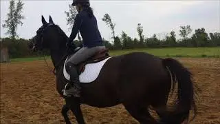 Mika pole