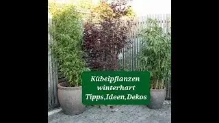 👉❄👈Sidu`s Welt zeigt winterharte Kübelpflanzen, Deko für Garten, Balkon, Terrasse, DIY outdoor👉❄�