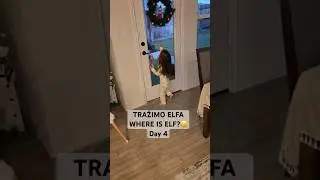 Мы ищем эльфа✨ День 4✨ Чипи, зачем ты залез?😂