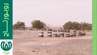 إيليزي..مقصد النحالين من عدة ولايات