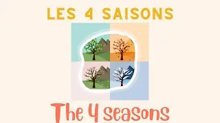 Learn French: Seasons of the year and weather (Les 4 saisons et comment exprimer le temps)