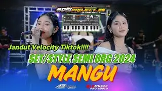 MANGU🔥 - Set/Style Semi ORG 2024 // Jandut Viral Velocity Tiktok!!!!! - Set Terbaru #DSIPROJECT_25