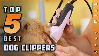 Top 5 Best Dog Clippers Reviews in 2023