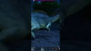 MY PARASAUR JUST HAD TO GO AND DO THAT!