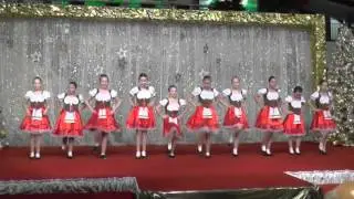 С концерта в торговом центре Goethe Galerie Jena 23.12.2014. Полька.