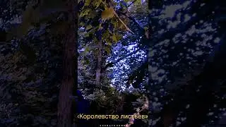 Финал в королевстве #life #sozna #quotes #voiceeffects #русскийреп #experimentalelectronic