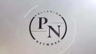 первая презентация сообщества Palladium Network