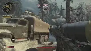 CoD WW2 SvG and Bayonet kills