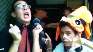 Lolazo
