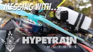 Hypetrain Motors are the bee's knees