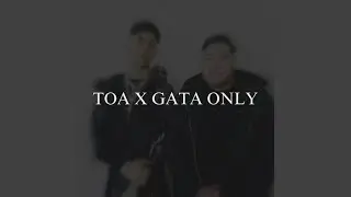 TOA X GATA ONLY