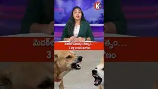 మెదక్&zwnj;లో వీధికుక్కల బీభత్సం&hellip; 3 ఏళ్ల బాలుడి మర*ణం