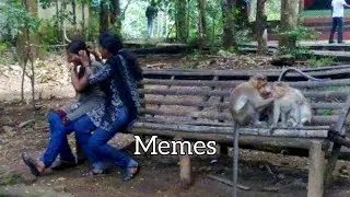 Funniest Memes You Missed This Week 😂🔥 | Try Not To Laugh Challenge 2026 || PART 18