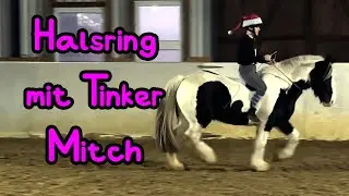 Tinker Mitch und der Halsring 🤪 Adventskalender Tür 21