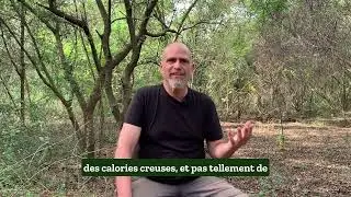 Sadhana Forest 🌱 Quelles sont les sp&eacute;cificit&eacute;s des actions de reforestation men&eacute;es en Ha&iuml;ti ?