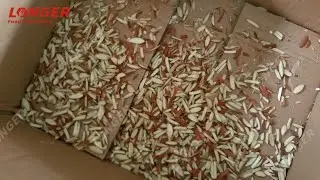 304SS Almond Slivering Machine/Almond Strip Cutting Machine/Almond Cutting Machine