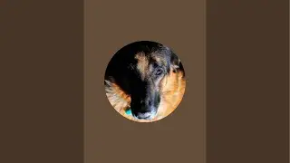Jippo KL is live!