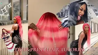 WAP Megan Thee Stallion/Lola 