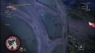 BEEG Damage