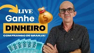 Frango de Granja: O Neg&oacute;cio Rural que Gera Renda Todos os Meses&rdquo;!