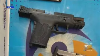 11 Guns Found At Chicago's Airports In June
