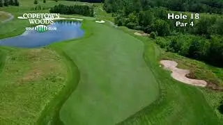 Copetown Woods Hole #18