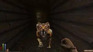 Daggerfall Unity + Mods