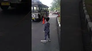 bus Bandros #kucing #kucinglucu #kucingimut #cat #cats #catshorts #catsoftiktok #kucingkampung