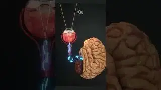 Сколько мегапикселей у глаза?