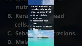 MBLEx Quiz 102. #mblexprep #mblex #massageschool #quiz #trivia