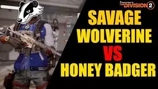 The Division 2 - Savage Wolverine Vs Honey Badger (The Review)