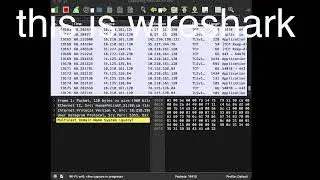 wireshark intro