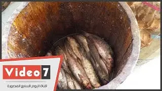 بالفيديو..تاجر فسيخ: النظافة والتكييف والبرميل الخشب شرط 