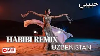 Habibi Remix Uzbekistan &ndash; Arabic Chill Deep House 2025 Road Trip Vibes