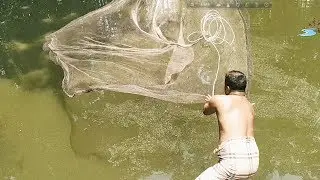 Net Fishing - Unique Net Trapping System Catch Fish - Big Fish Hunting By Cast Net part 11