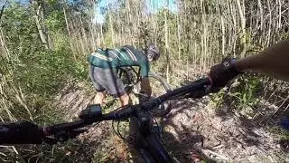Forest Explorers | mtblifestyle
