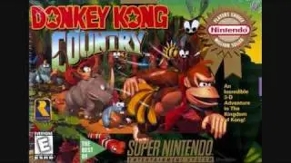 Donkey Kong Country Candy Kong's Theme Song