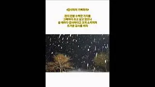 눈오는 겨울밤 명상의 시간 #멋쟁이광현 #travel #music